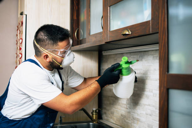 Best Commercial Pest Control Services  in New Smyrna Beach, FL