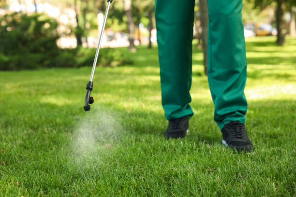 Best Best Pest Control Companies  in New Smyrna Beach, FL