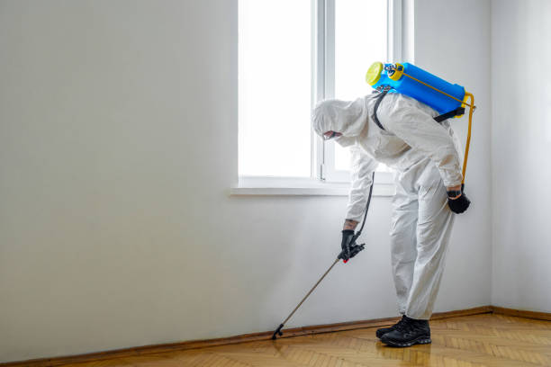 Best Pest Prevention Services  in New Smyrna Beach, FL