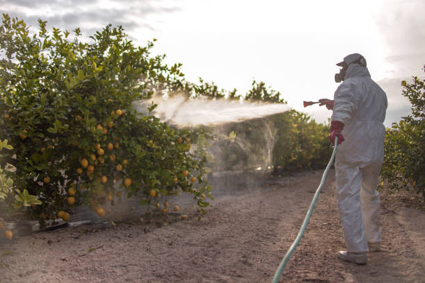 Best Best Pest Control Companies  in New Smyrna Beach, FL