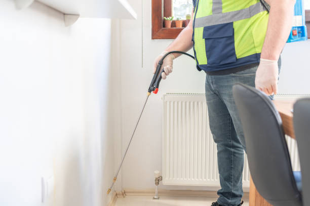 Best Local Pest Control Services  in New Smyrna Beach, FL