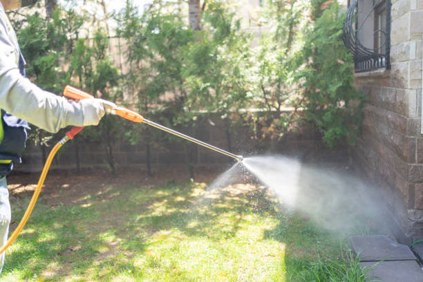Best Emergency Pest Control  in New Smyrna Beach, FL