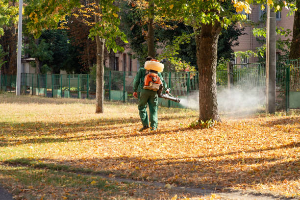 Best Best Pest Control Companies  in New Smyrna Beach, FL