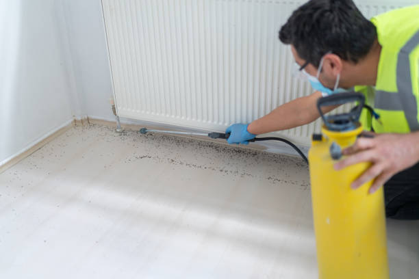 Best Affordable Pest Control Services  in New Smyrna Beach, FL