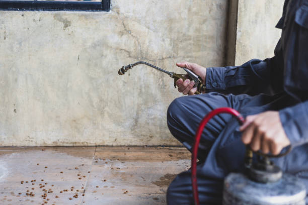 Best Pest Prevention Services  in New Smyrna Beach, FL